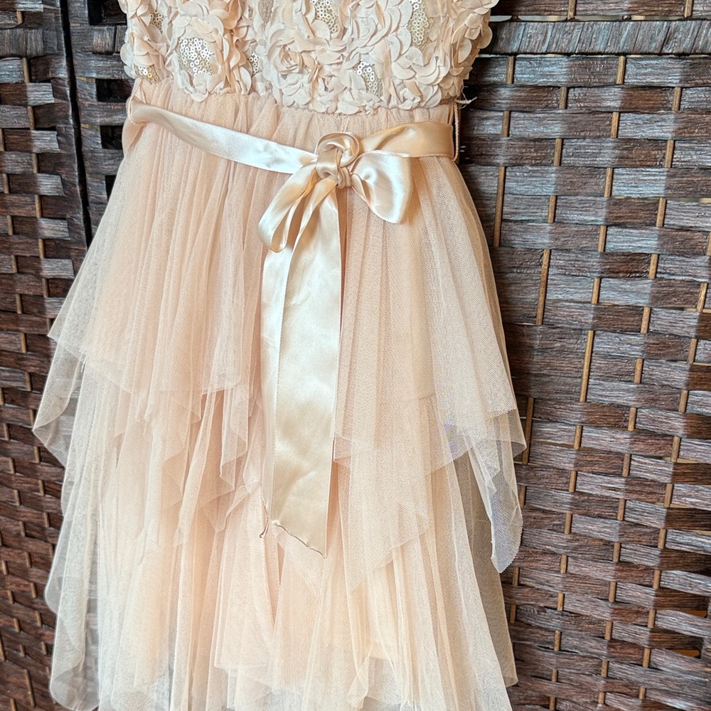 Girls 10 Pink & Violet rose gold champagne pink tutu dress EUC fancy - Picture 4 of 6